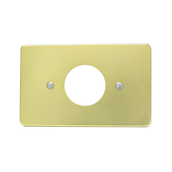 136608 Placa sencilla de aluminio, línea estándar, color oro Surtek