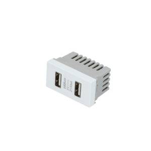 P617B Módulo USB doble 1/3, línea Premium, color blanco Surtek